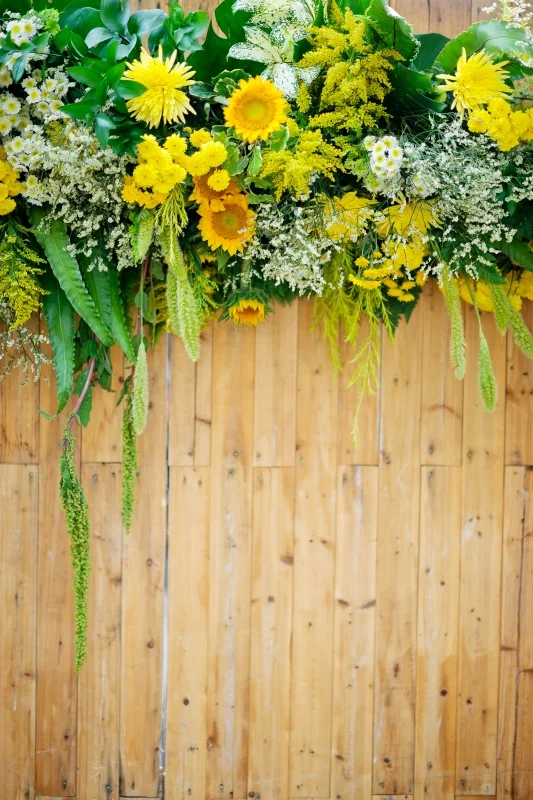 Laeacco Spring Blossom Flowers Tassel  Wooden Board Butterfly Child Portrait Backgrounds Photographic Backdrops For Photo Studio