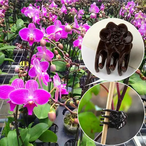 50pcs Climbing Fixed Plastic Clip Phalaenopsis Special Clip Orchid Vine Main Pole Support Bracket Clip Home Gardening Tools