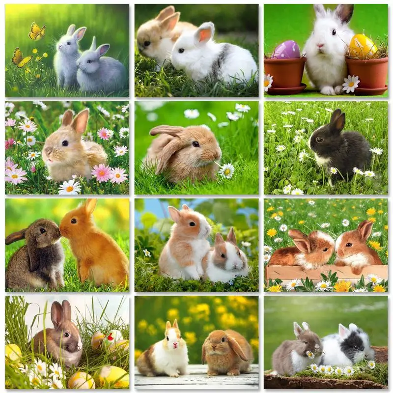 

PhotoCustom 60x75cm Paint By Numbers For Adult Rabbit DIY Oil Painting By Numbers On Canvas Animals Frameless Number Painting