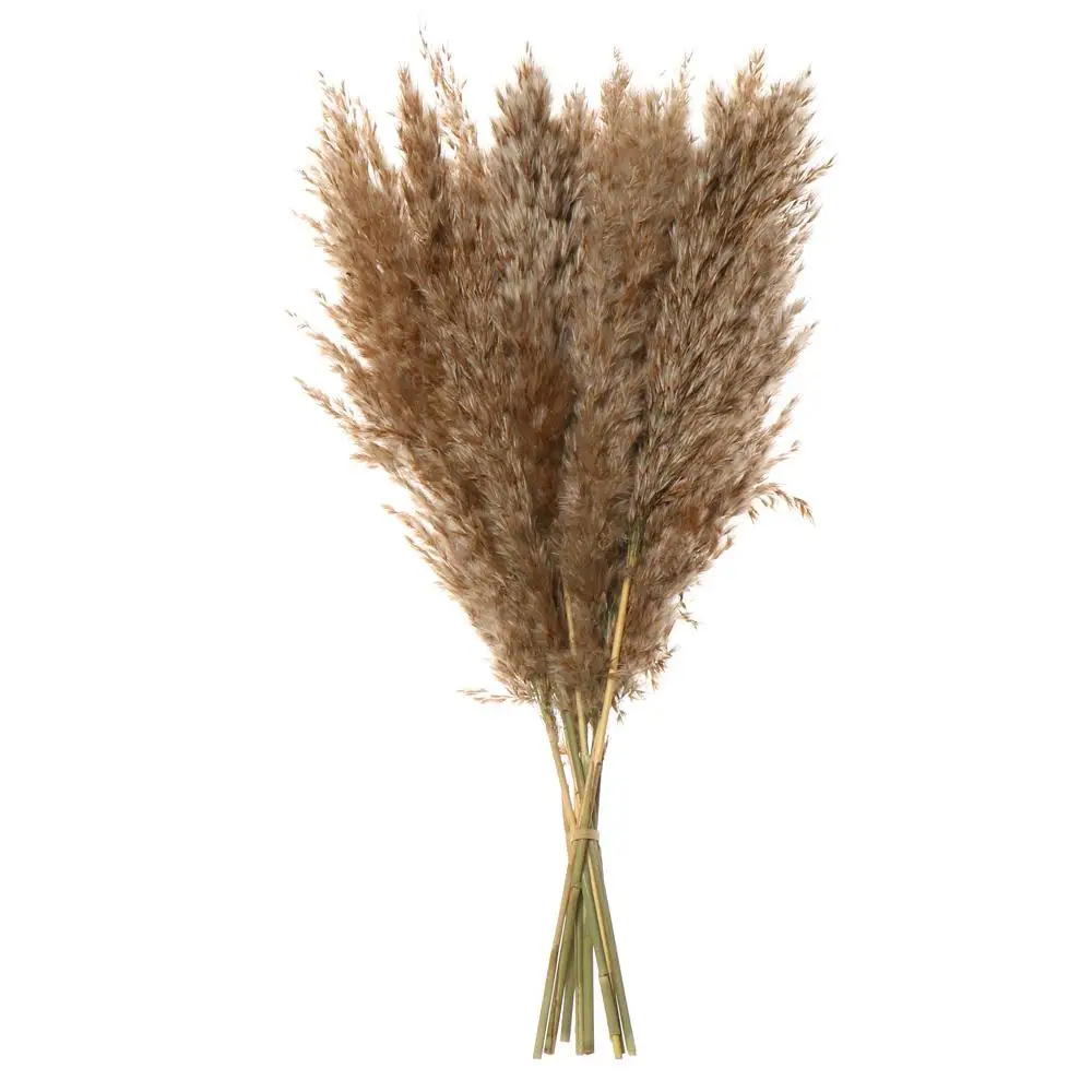 10x Small Natural Dried Pampas Grass Reed Flower Bunch Wedding Bouquet Decors Hot