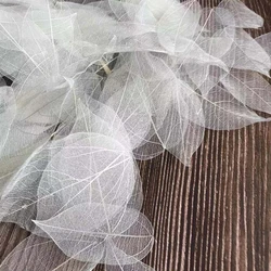 5~9CM*2~3.5CM,100PCS/Set,Real Dried Natural Vajra Leaf Vein,Pressed Dry Flowers Skeleton Leaves,DIY Wedding Decoration