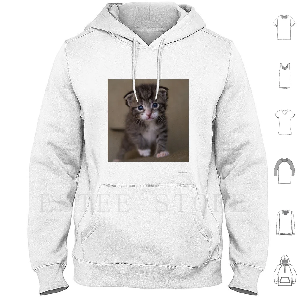 Kitty 9 Hoodies Kitty Cute Adorable Furry Cuddly Snuggle Purr Tail Paw Play Tummy Scratch Scratching Post Litter