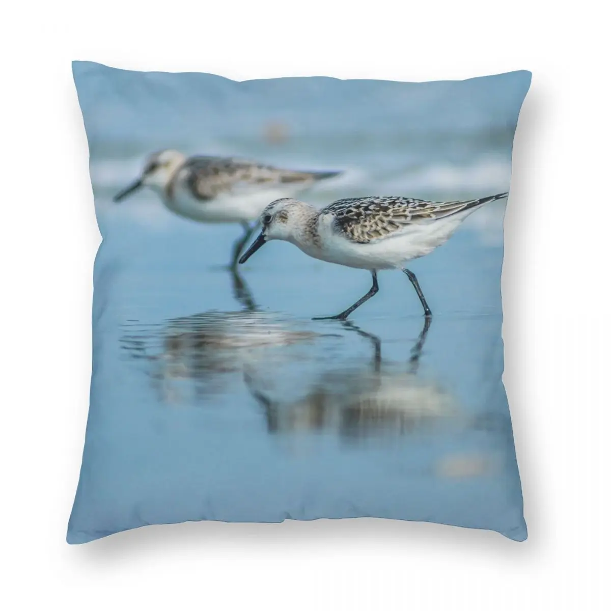 Sandpiper 2 Square Pillowcase Polyester Linen Velvet Printed Zip Decor Throw Pillow Case Car Cushion Cover