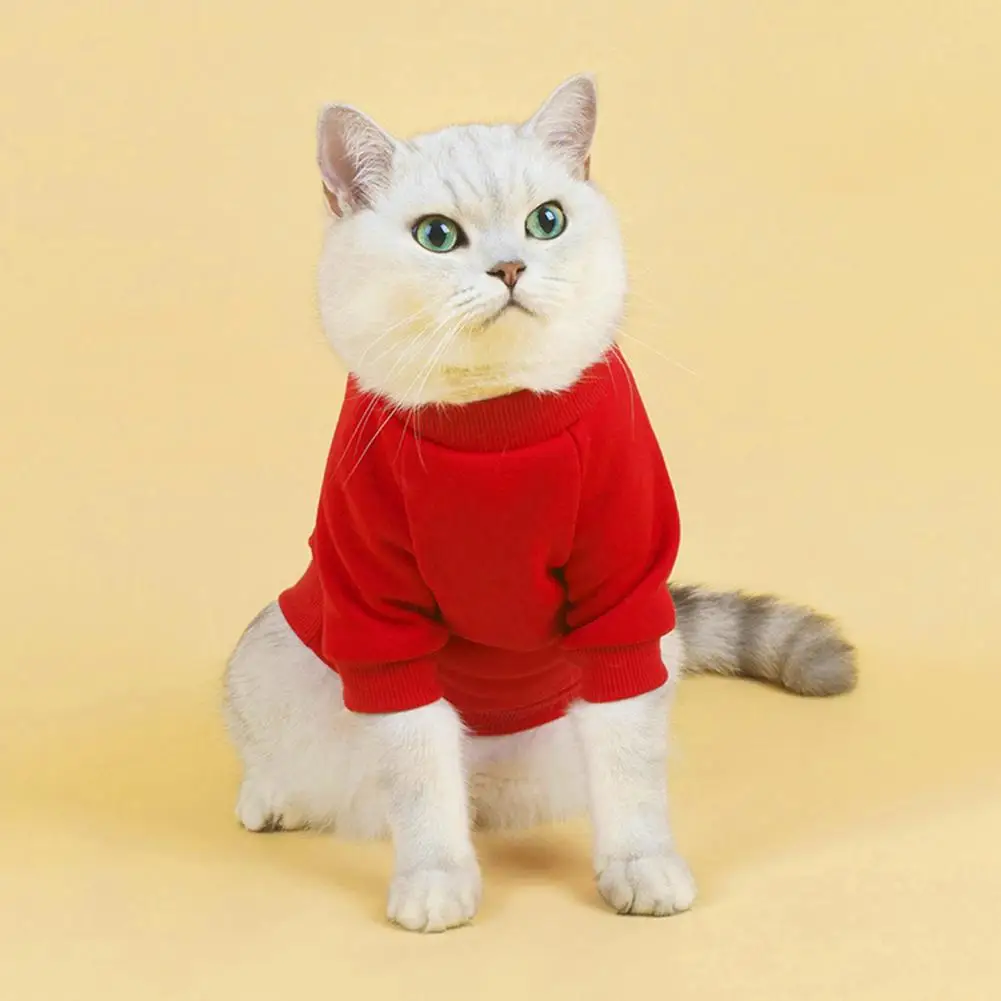 Pet Sweater Round Neck Solid Color Thickening Cat Dog Knitwear Sweater Autumn Dog Sweaters Pet Products