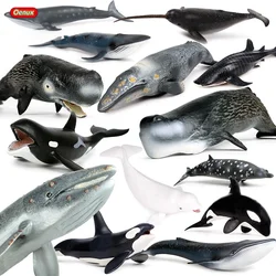 Oenux Ocean Animal Savage Megalodon Beluga Big Shark Orca Sperm Blue Whale Action Figures Sea Life Model Educational Kids Toy