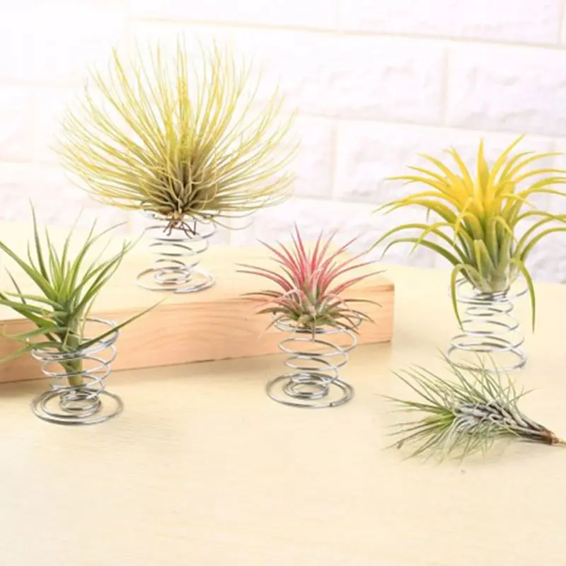 20 Pack Air Plant Stand Container Tillandsia Halter, Edelstahl Draht Stehen Anlage Display Racks-Silber