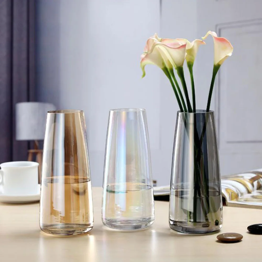 

Nordic Transparent Glass Vases Living Room Table Decoration Water Hydroponics Dry Flower Vase Creative DIY Bottle