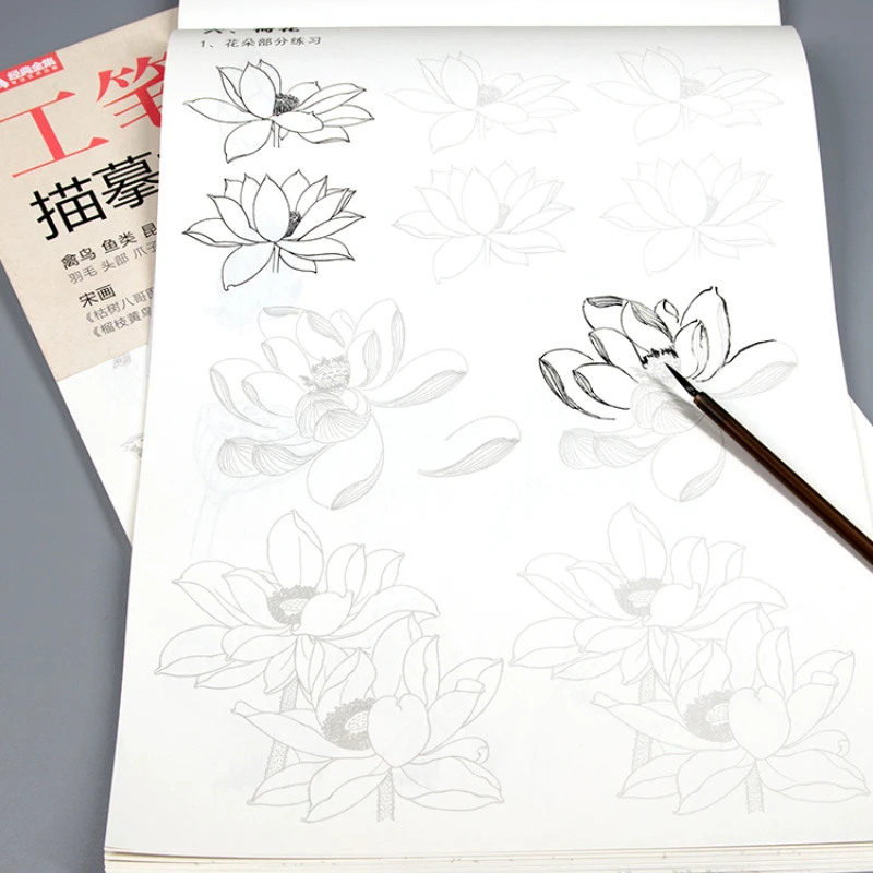 Meticulous Painting Line Drawing Copy Coloring Book Basic Training Intensive Improvement Tutorial Sketchbook Chinese Painting