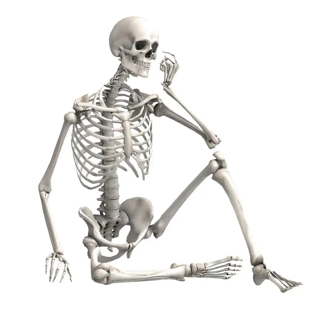 90cm Simulation Human Skeleton Ornament Halloween Party Bar Haunted House Props