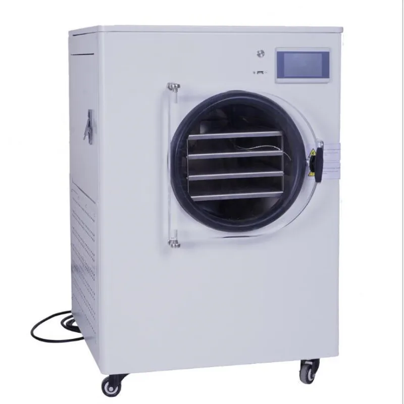 Small Household Vacuum Freeze Dryer Machine Freeze Dehydrated Strawberry Fruit and Vegetable Freeze Dehydrator