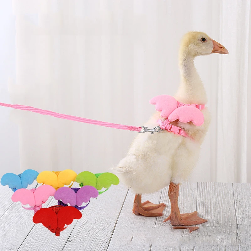 Adjustable Call Duck Harness Leash Rope for Cats And Dogs Small Animal Training Walking Towing Pet Supplies