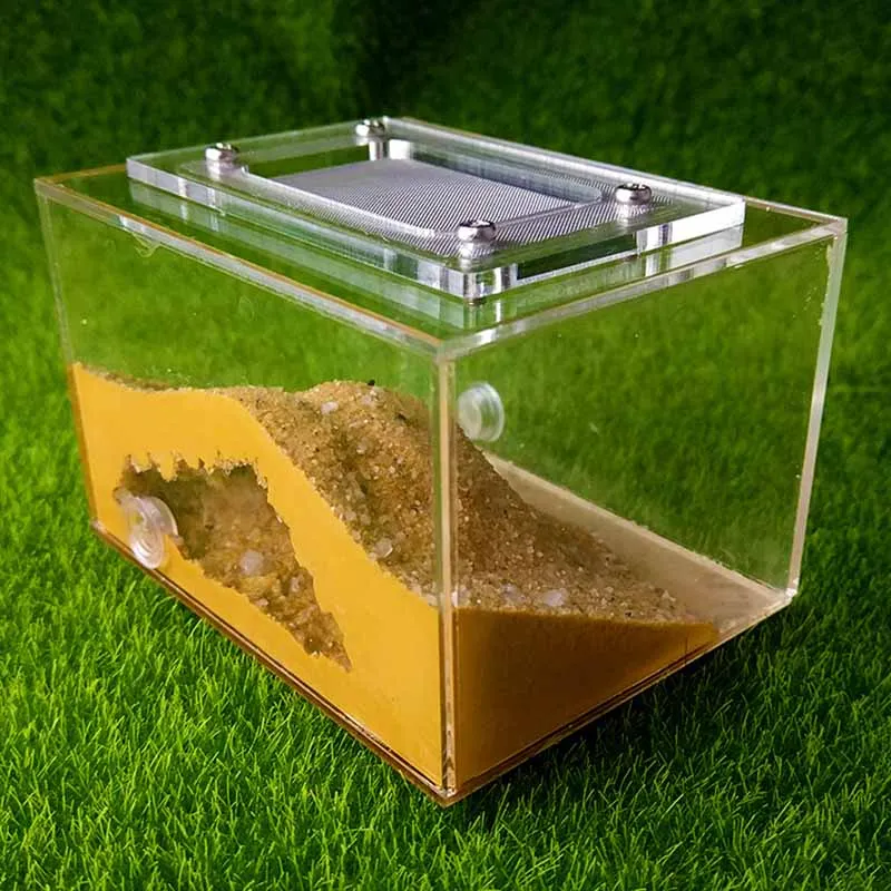 

Mini Imitation Ecological Plaster Ant Nest Pet Ant Castle Workshop Home Reptile Terrarium