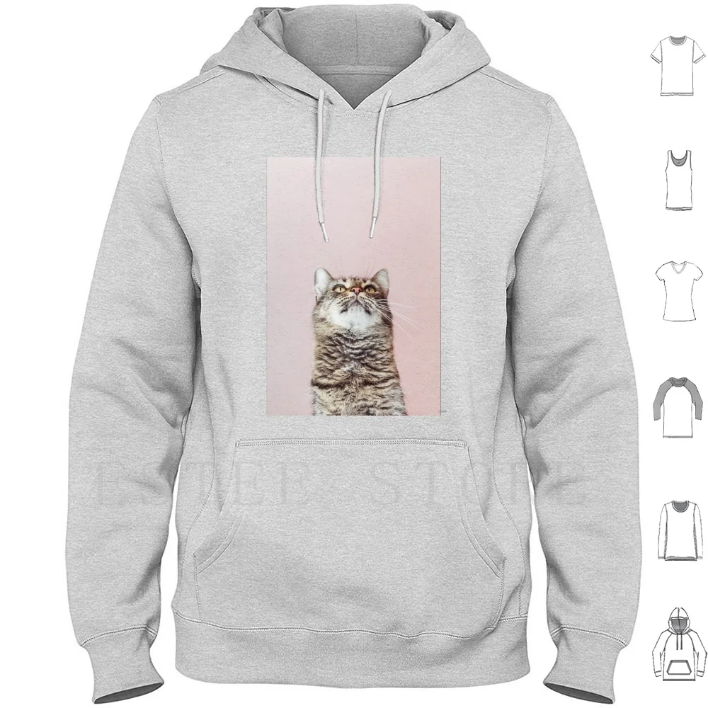 Magnifique sweat à capuche à manches longues avec motif de chat levant la tête, portrait animalier, fond de paysage, chat proche, mignon, félin, moelleux