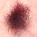 1 paquete de 2g rojo oscuro