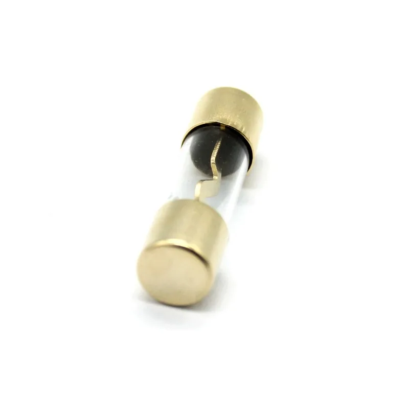 5Pcs 60A/80A/100A Fuse tube Fuse Gold Plated Glass AGU Fuse Holder Fuses Pack Car Audio Amp Amplifier New mini fuse