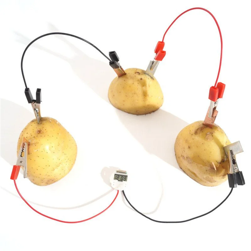 Potato Fruit Biologia Energy Generate Electricity Science Experiment Educational Toys For Children Kids School Electric STEM Kit