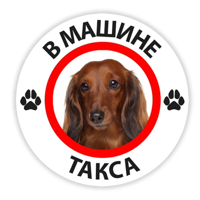 

B0212# Self-adhesive Decal такса В машине Car Sticker Waterproof Auto Decors on Bumper Rear Window