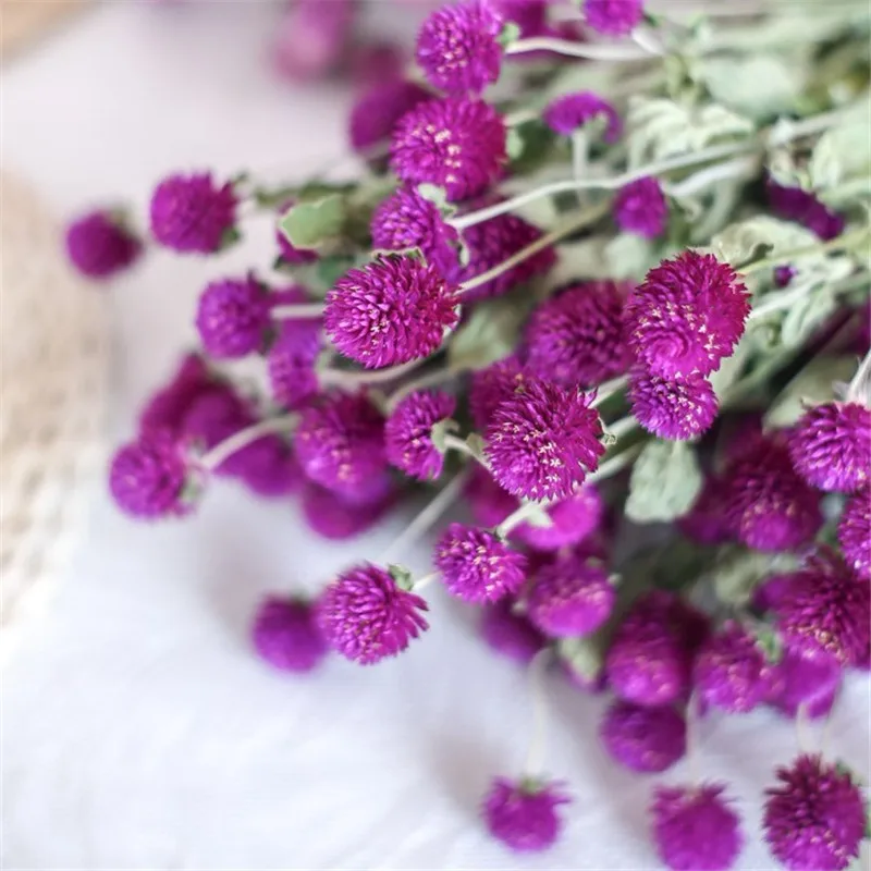 20pcs Purple natural flower bouquets dried gomphrena bouquets  christmas decor gomphrena bunch NO VASE