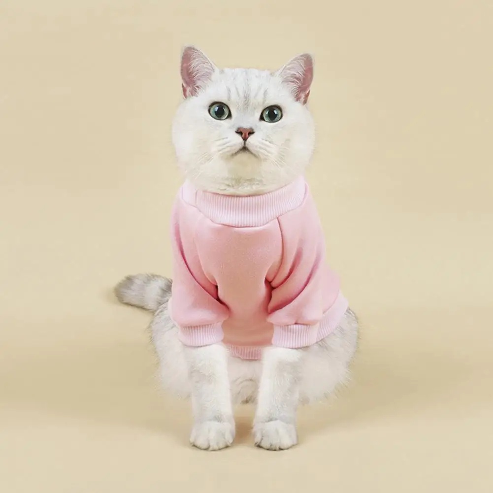 Pet Sweater Round Neck Solid Color Thickening Cat Dog Knitwear Sweater Autumn Dog Sweaters Pet Products