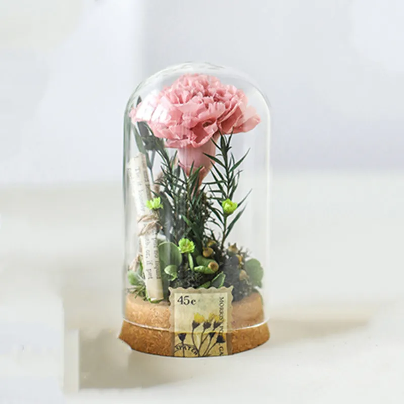 4sets/pack 6*12cm Small Size Glass Dome Vase Home Table Deocration Antique Log Base Transparent Cover Wedding Prop Friend Gift