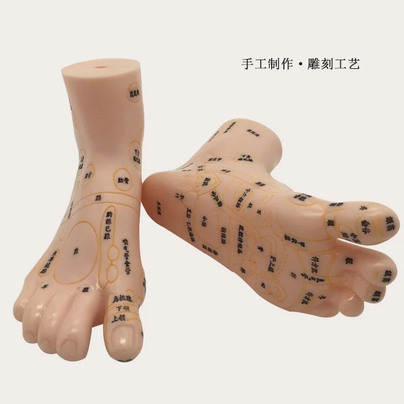 19cm Foot Reflex Zone Massage Model, Not Acupuncture Model, Foot Massage Model Chinese Language Feet Reflexology,1 Pair Medical