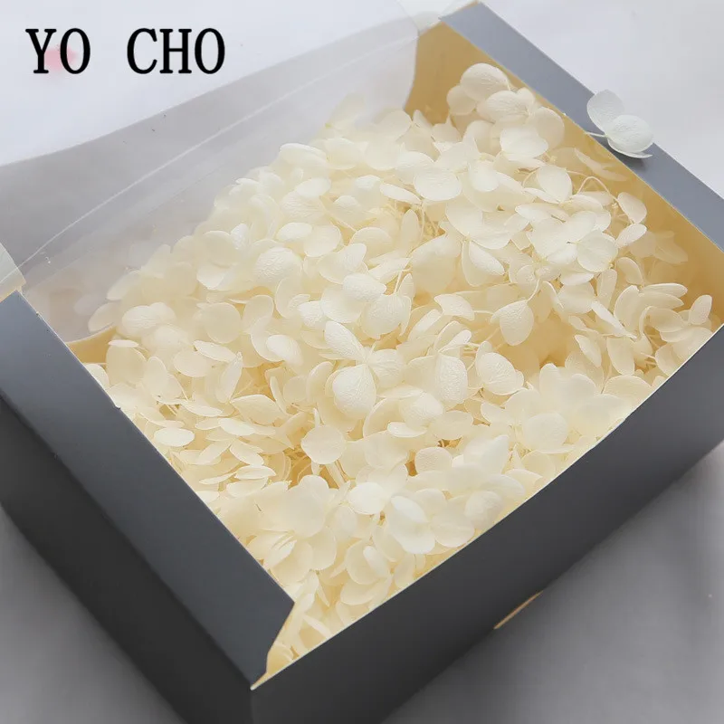 YO CHO Natural Fresh Preserved Hydrangea Flowers Head for DIY  Real Eternal Life  Hydrangea Flowers Material   20g/lot