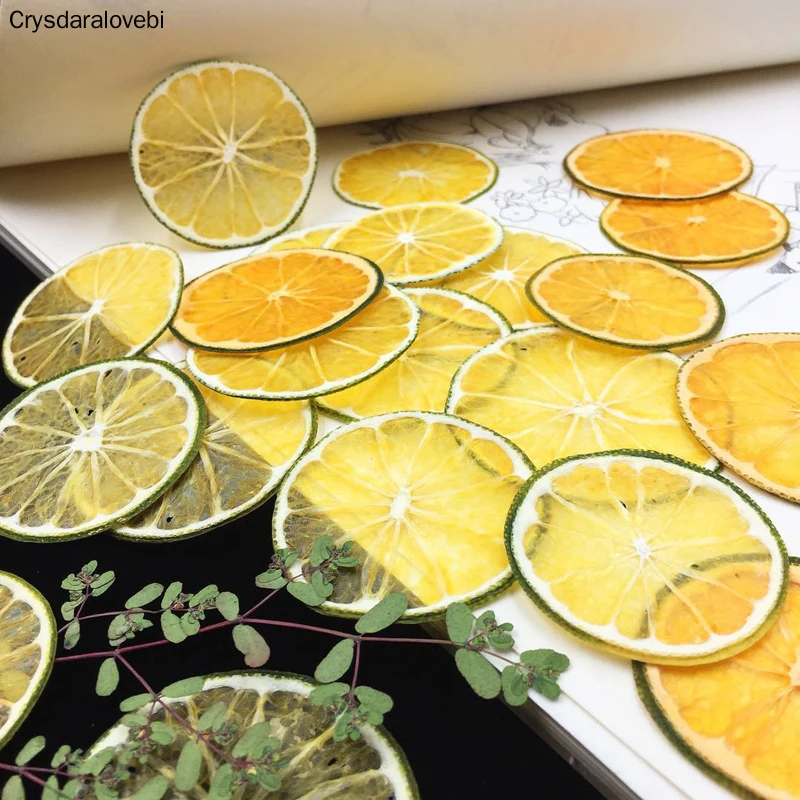 15pcs Dried Pressed Fruit Green Skin Orange Slices Plant Herbarium For Jewelry Photo Frame Phone Case Craft DIY Making Accessory