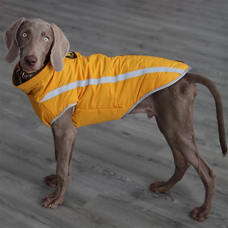 Chaleco de invierno para mascotas, chaqueta impermeable para cachorros, abrigo cálido para perros medianos y grandes, ropa reflectante, atuendo para mascotas, XL-6XL