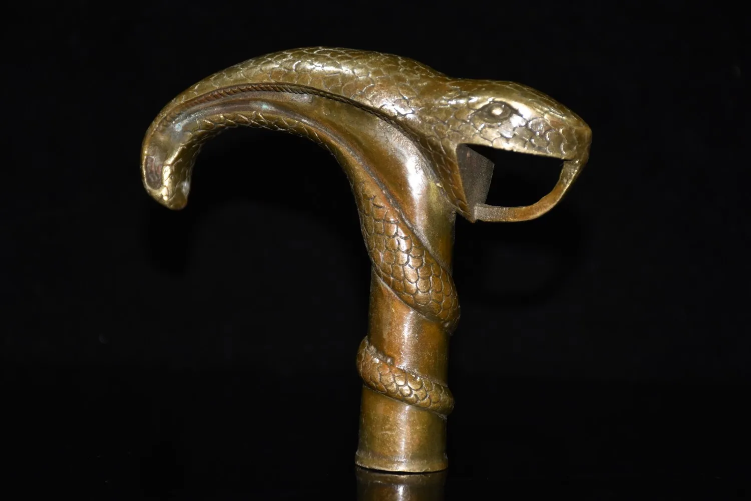 Antique Victorian Walking Stick with Bronze Gun Head Holding snake