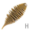 H