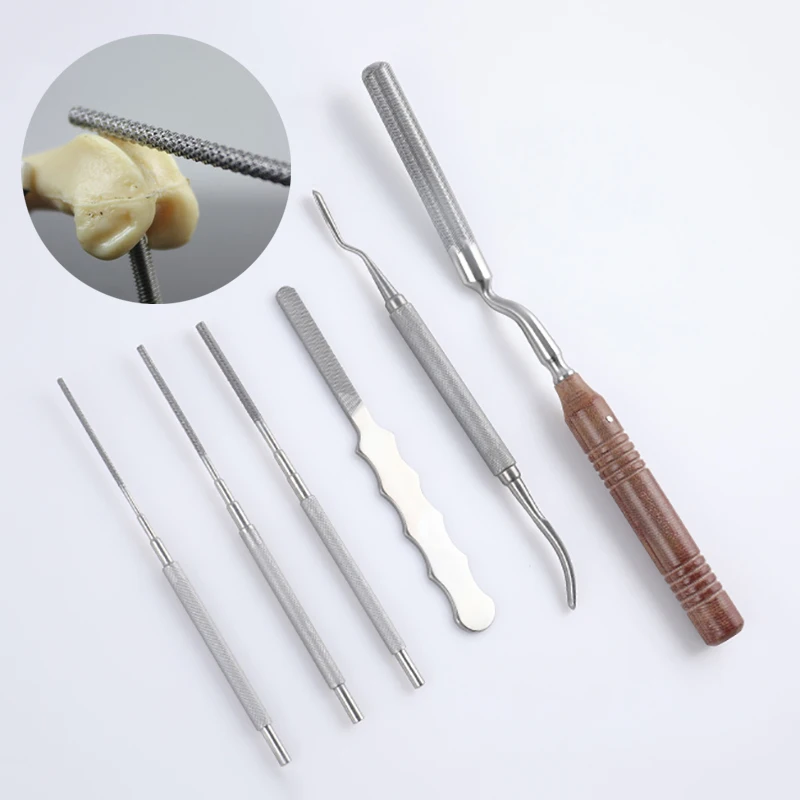 Pet Orthopedics Equipment Medical Flat Bone File Contusion Knife Small Grinding Polishing Bone Plate Clinic Supplies