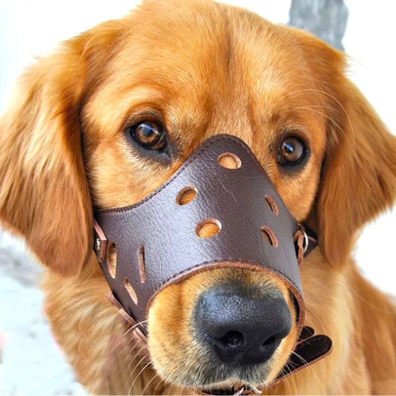 Soft Leather Muzzle for Dogs Anti-Biting Secure Adjustable & Breathable Pet Small Large Dogs Muzzle Allows Drinking & Eating