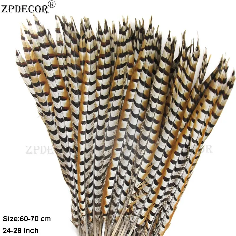 ZPDECOR-Natural Reeves Pheasant Feathers, 65-70cm, 26-28 in