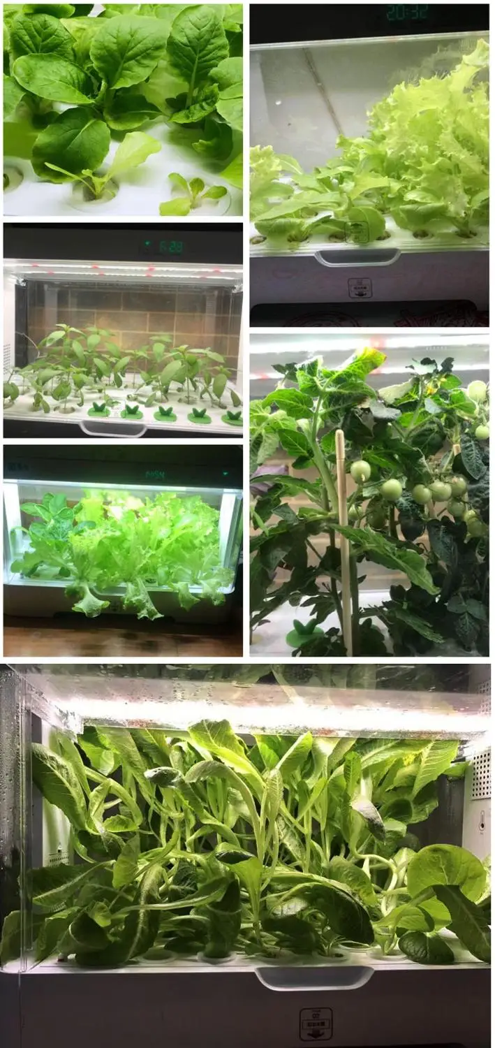 Equipo inteligente de plantación de vegetales hidropónicos, caja de plantación familiar para interiores, Equipo de cultivo sin suelo, suministro de oxígeno