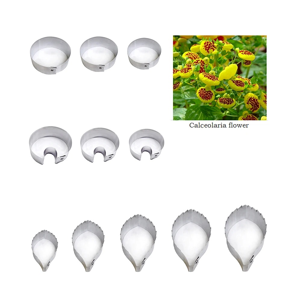 Calceolaria flower fondant sugar flower cutters baking cake decorations Polymer Clay Cold Porcelain gumpaste tools