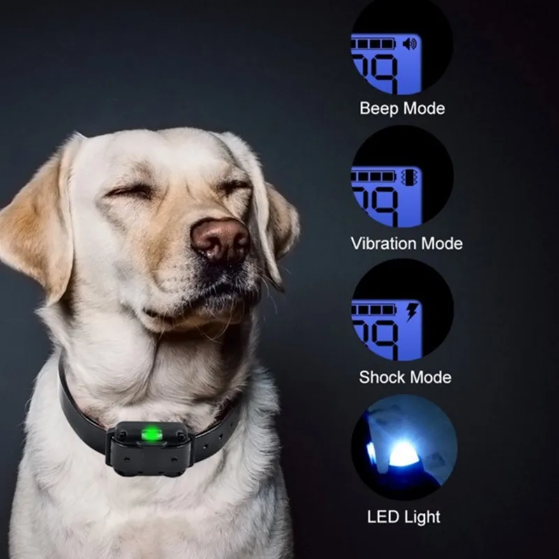 Collier Électrique Anti-Aboiement pour Chien, Étanche, avec Télécommande, Rechargeable, Dispositif de Toutes Tailles