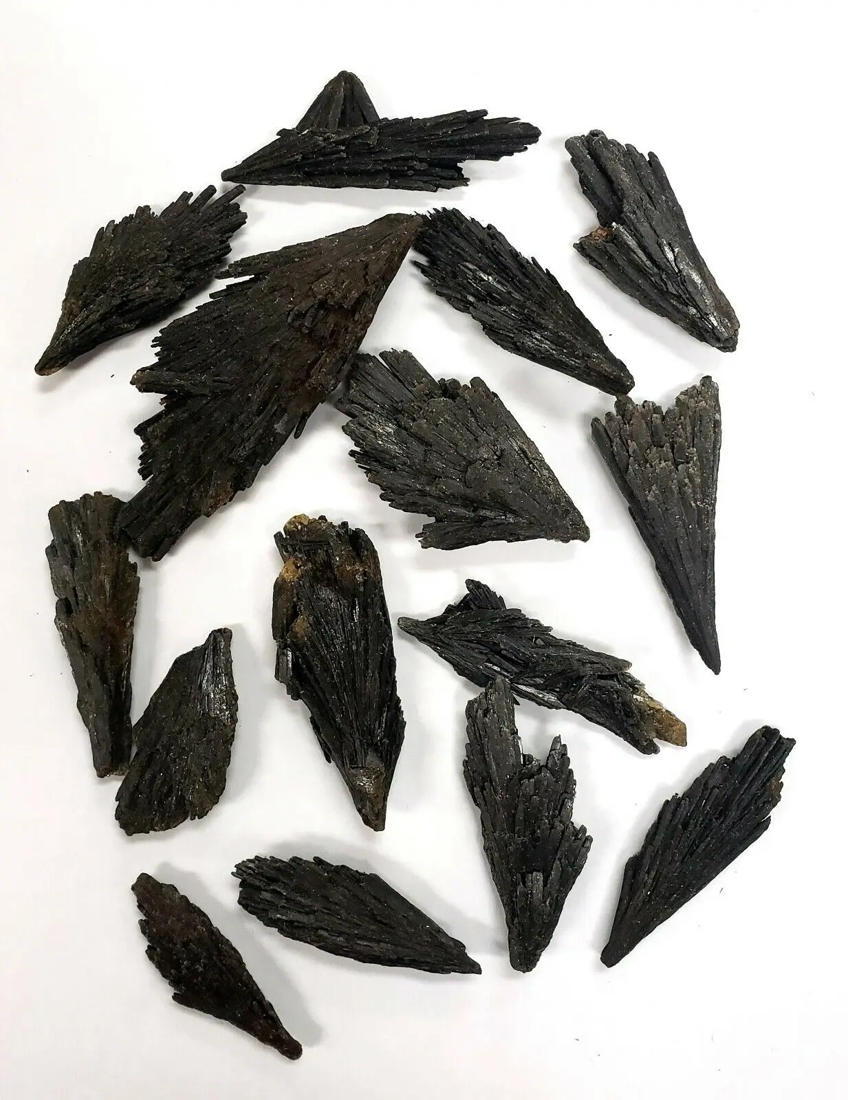 1/4LB  Black Kyanite Blades Fans Premium Quality Wholesale Bulk Lot