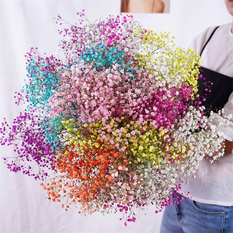 ธรรมชาติสดแห้งรักษาดอกไม้ Gypsophila Paniculata BabysBreath ของขวัญงานแต่งงาน Dekoration Hochzeit Flores Preservadas