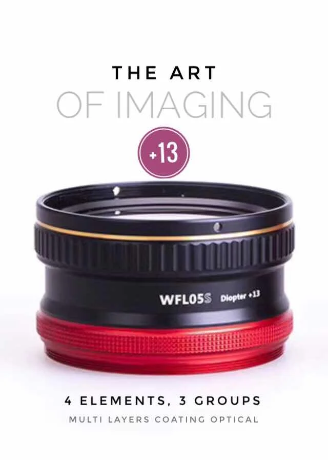 Weefine Diving WFL05 waterproof Macro wet Lens Close-up lens M67 Mount Thread +13 for Sony RX-100 Camera Underwater Photography