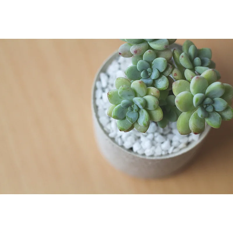 Japan Minimalism clay pot succulent pots desk decor balcony decorations vasos para jardim plants pot flower maceteros blumentopf