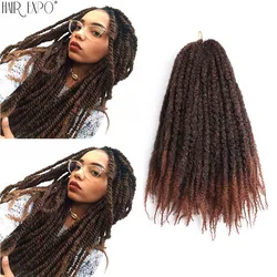 Extensiones de Cabello sintético Afro rizado para mujeres negras, trenzas de Marley de 18 pulgadas, Pelo trenzado de ganchillo Yaki ombré, Marley
