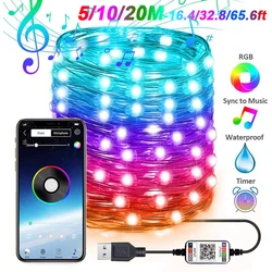 Dize ışık 5M/10M/20M akıllı APP Bluetooth uyumlu 200LED su geçirmez USB bakır tel işıkları D30 zamanlayıcı ile RGB peri ışıkları