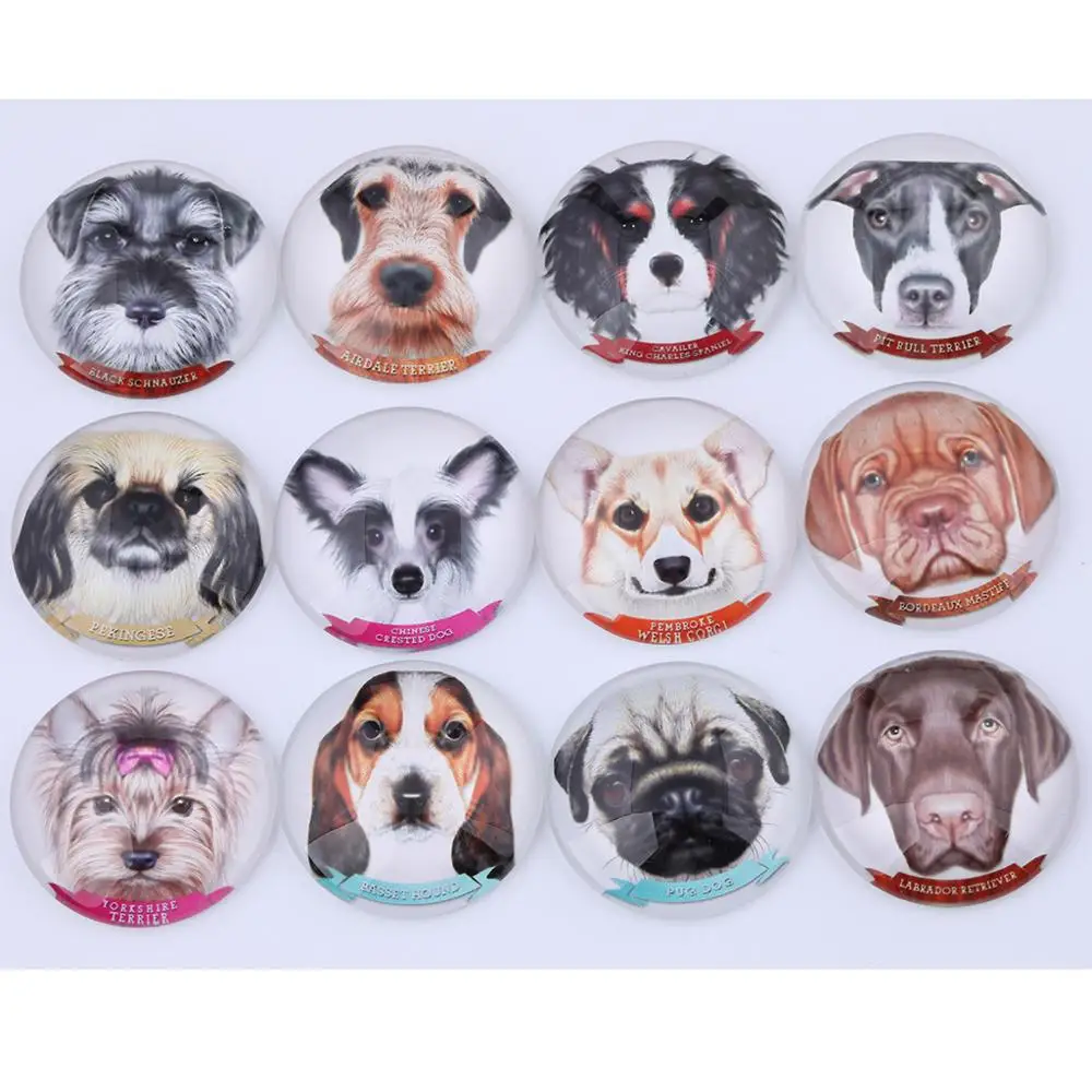 Mixed Dog Head Photo Round scrapbooking Glass Cabochon 20mm 25mm 30mm Diy Handmade Jewelry Findings For Keyring Pendant