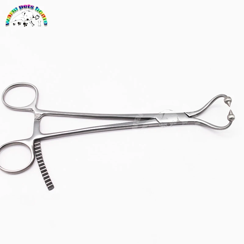 

Bone Plate Holding Forceps Orthopedic Surgery Instrument Veterinary Instruments