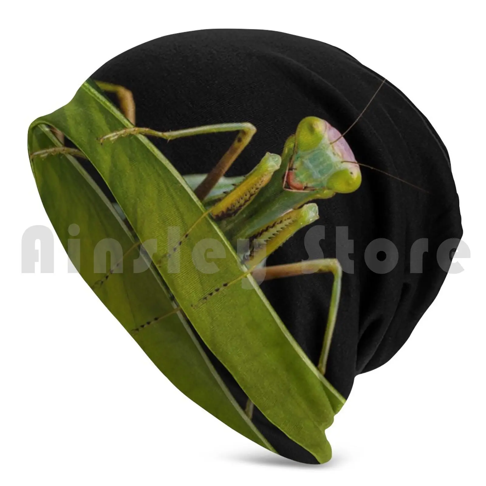 Green Mantis Hat Hat Green Preying Mantis Insect Leaf Cannibal Carnivore Legs Mouth Eat