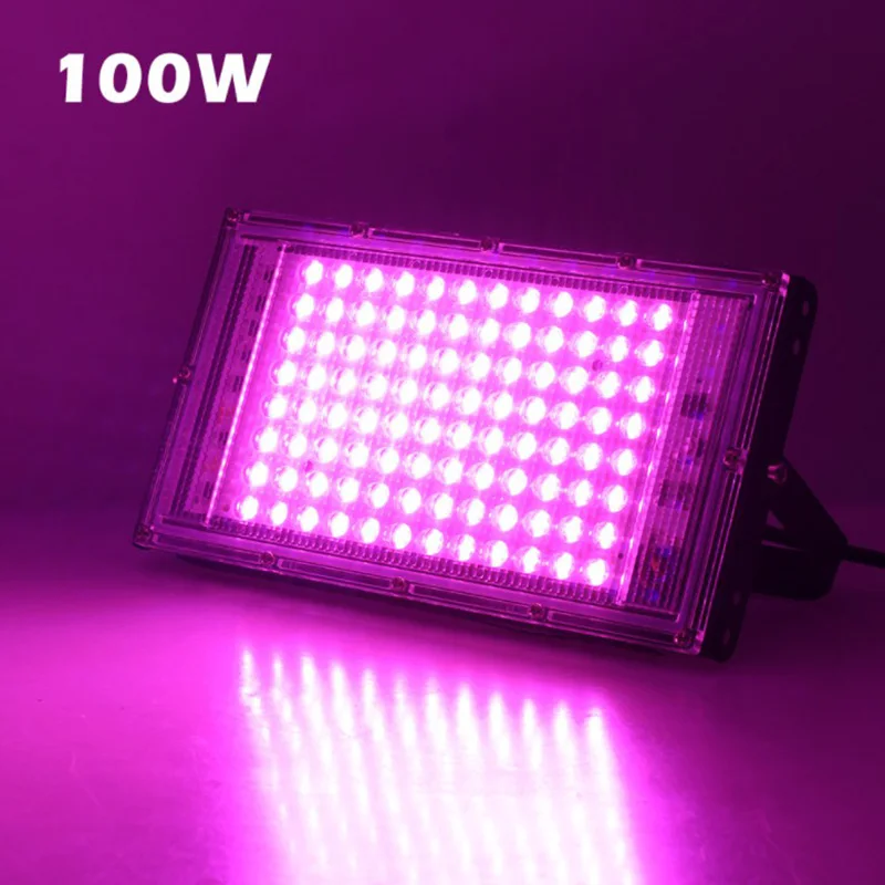 High Quality LED Grow Light Full Spectrum 220V 50W100W Fitolampy For Greenhouse Vegetable Seedling Plant Lighting Free Shipping