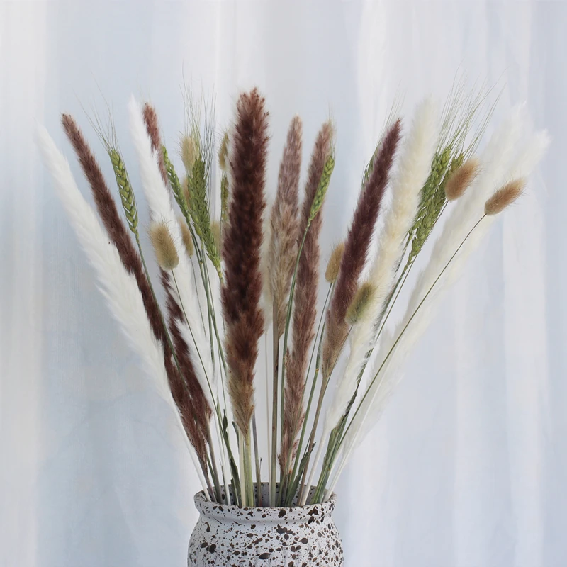 60PCS Small Reed Dried Flowers Natural Pampas Grass Phragmites Decoration Wedding Home Dekoration Arrangement Christmas Bouquet