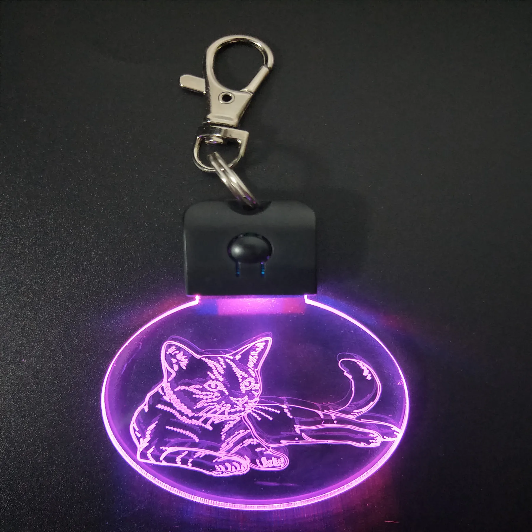 Sleeping Cat KeyChain 3D ABS Arylic Night Light LED Magical Table Lamp Lighting Colors Decoration Gift With li Battery Dropship