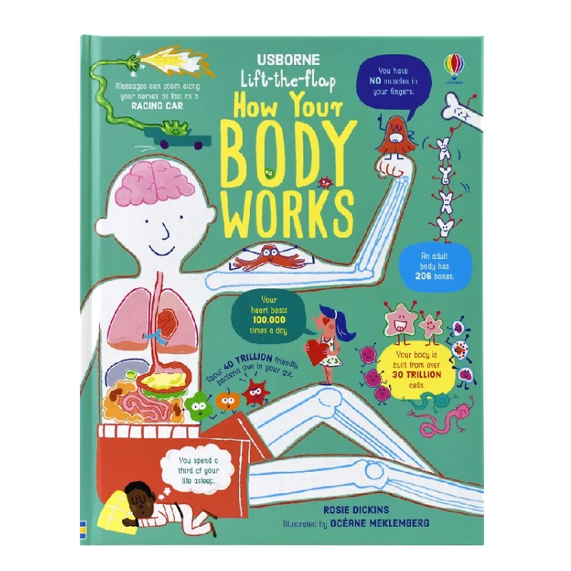 Lift the Flap How Your Body Works 3D Flap Picture Books Space Children Enlightenment English Cardboard Book