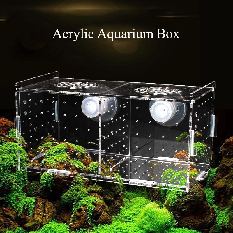 

Acrylic Guppy Breeding Box Aquarium Isolation Box Transparent Fish Delivery Room Fish Breeding Box Aquarium Products 20x10X10CM